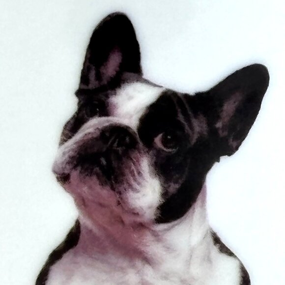 I Love My French Bulldog Ceramic Mug by Little Gifts Never used - Picture 4 of 7